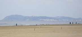 am strand