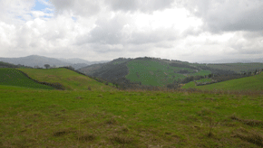 das hinterland