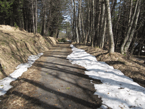 der erste schnee