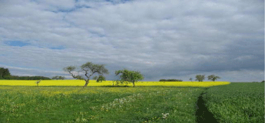 landschaft in franken